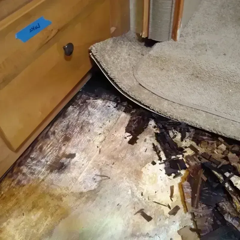 Wood Floor Water Damage in Baychester, NY